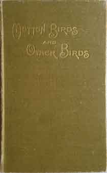 Mutton Birds and other stories