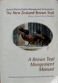A Brown Teal Management Manual