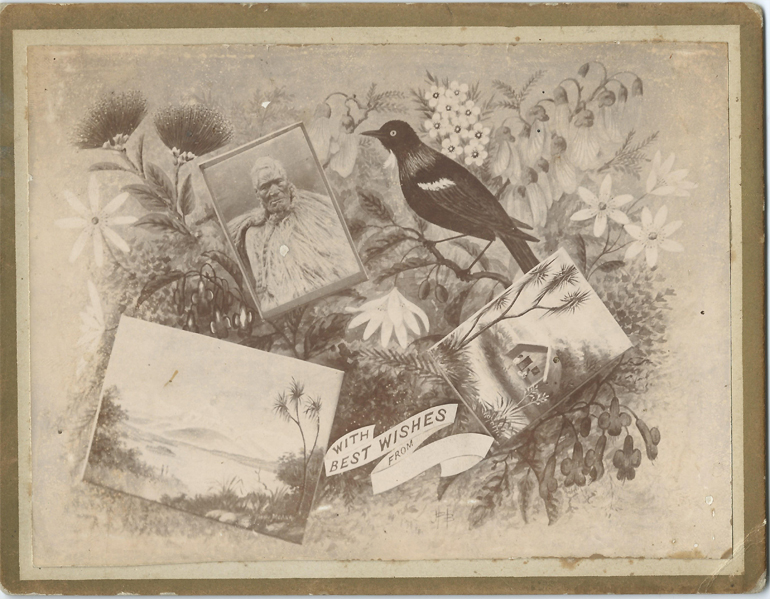 Backhouse Card, Tui, Best Wishes, -- LINK to larger image