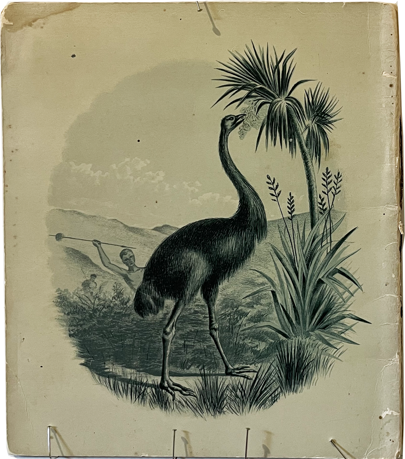 The Land of the Moa(back cover) A D Willis, New Zealand Sepia Lithograph booklet