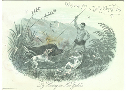 (front of postcard) AD Willis Postcard, Pig hunting