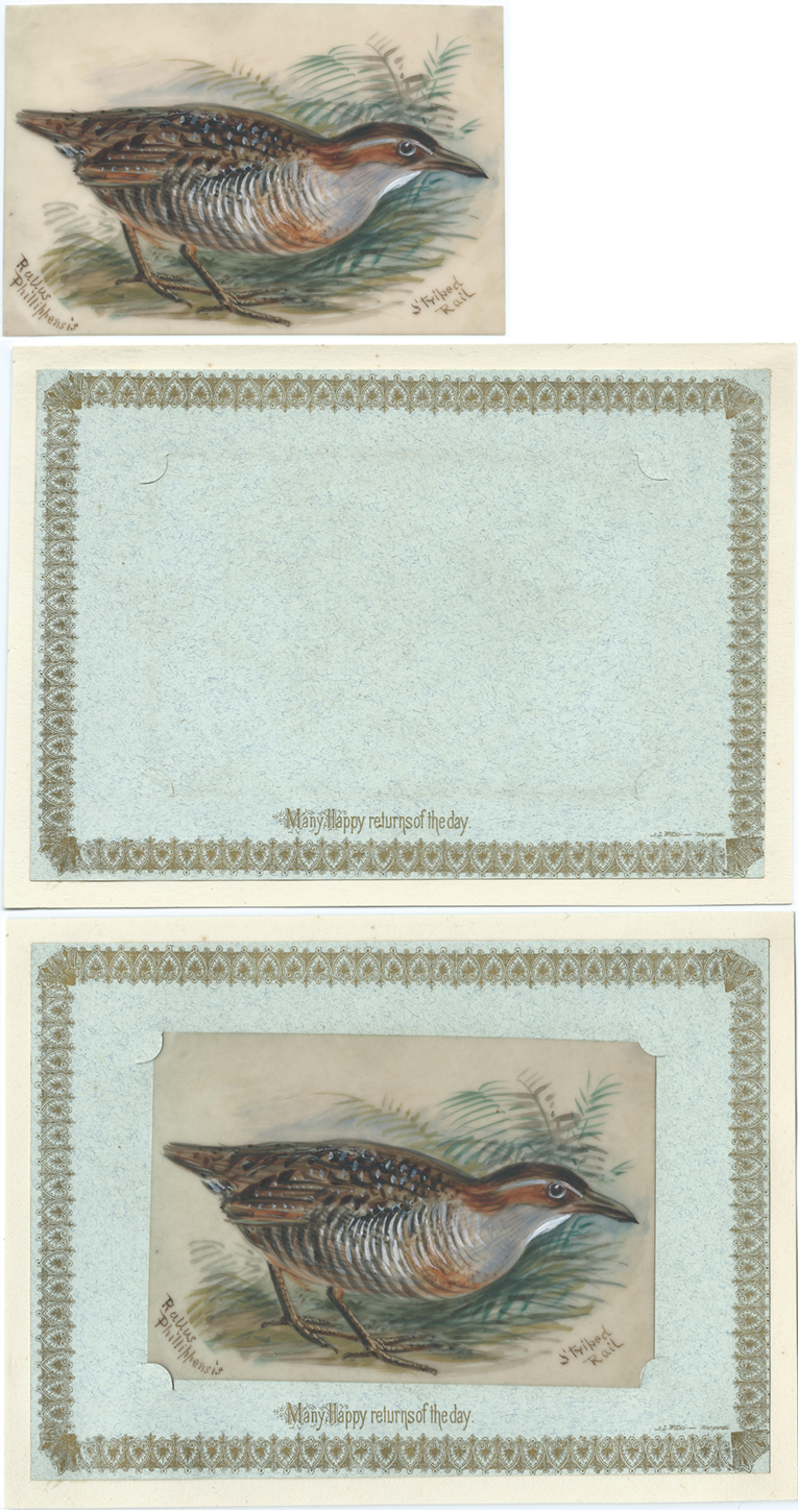 Celluloid;  Mount and page;  Greeting Card whole