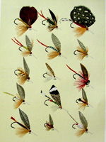 Marbury, Trout flies (189 - 203)