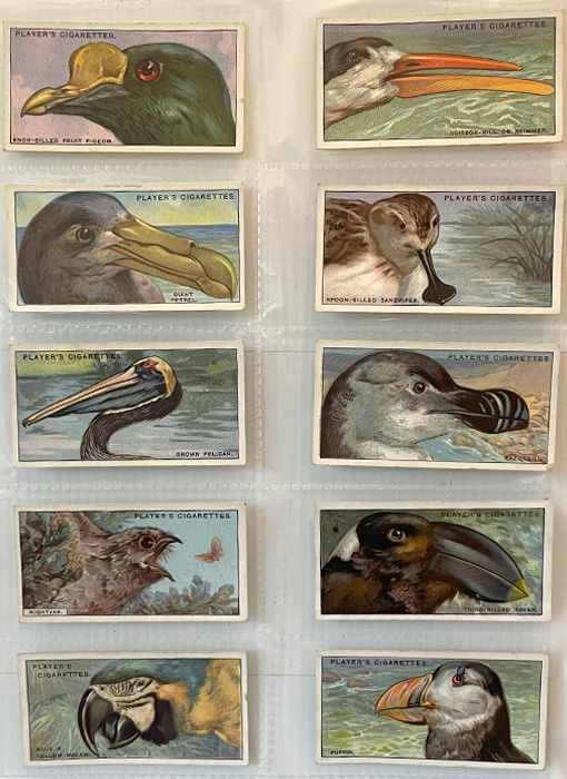 Curious Beaks, Cigarette cards