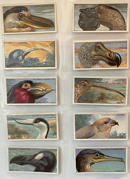 Curious Beaks, Cigarette cards