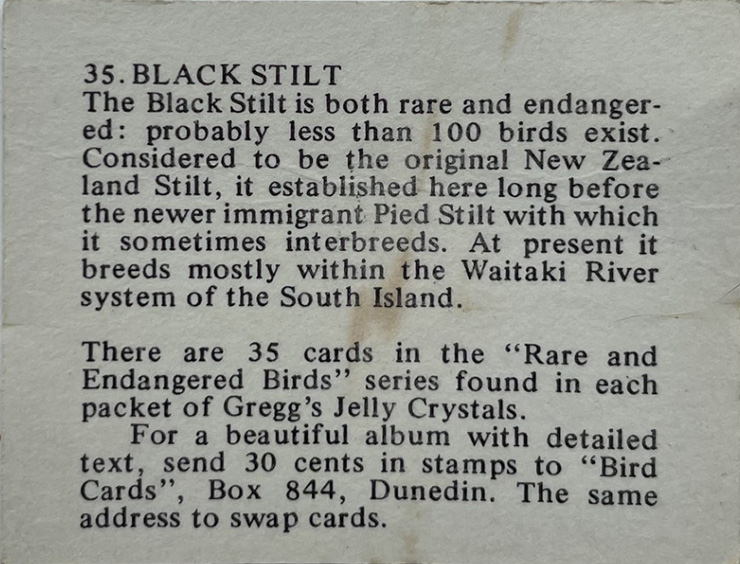 Back of trading card 35, Black Stilt