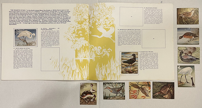 Pages from the album